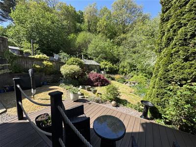 Picture 19